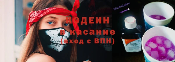 индика Снежногорск