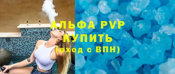 индика Снежногорск