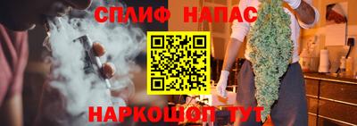 a pvp Гусев