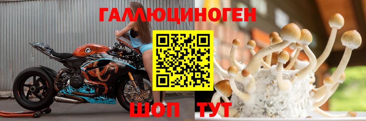 Коммунар  Галлюциногенные грибы Magic Shrooms  Вход с VPN 